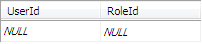 The UserRole table with no rows