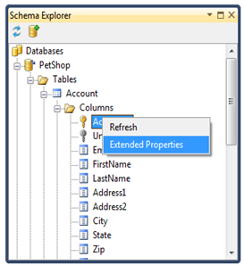 Schema Explorer context menu on a column of the Account table, with Extended Properties selected